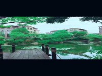 其它图